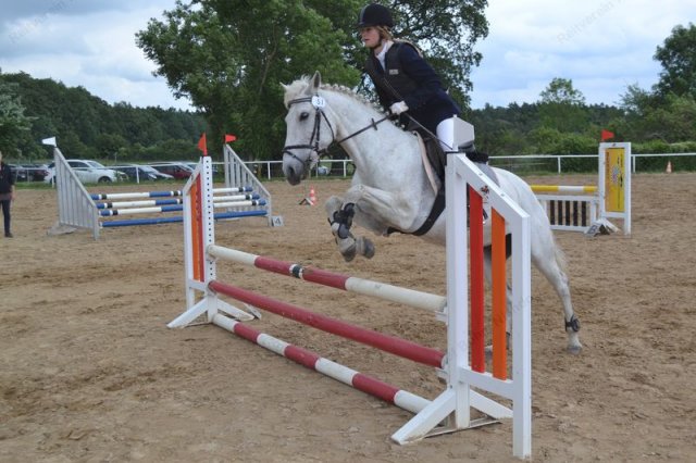reitertag 2013 88